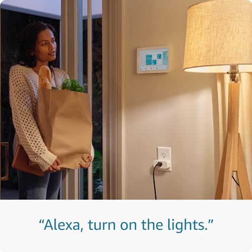 Amazon Smart Plug Works with Alexa Simple Setup - Tech Meets Trend