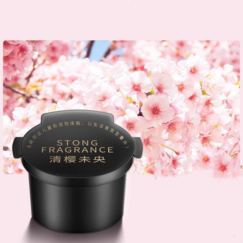 Natural Vehicle Aroma Diffuser.