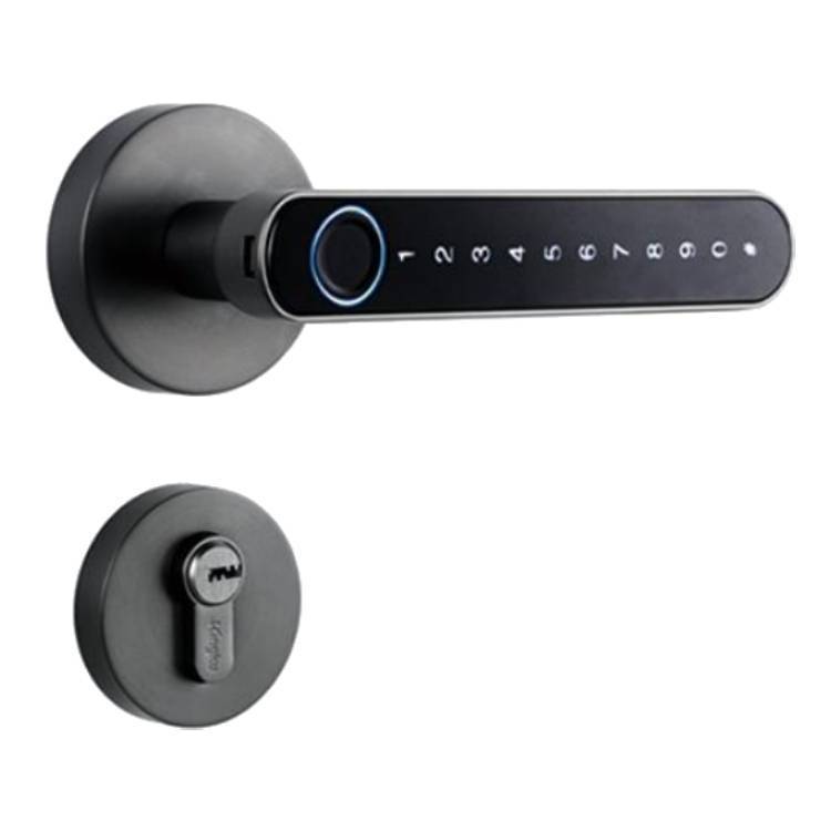 Touch-Open Smart Door Lock - Tech Meets Trend