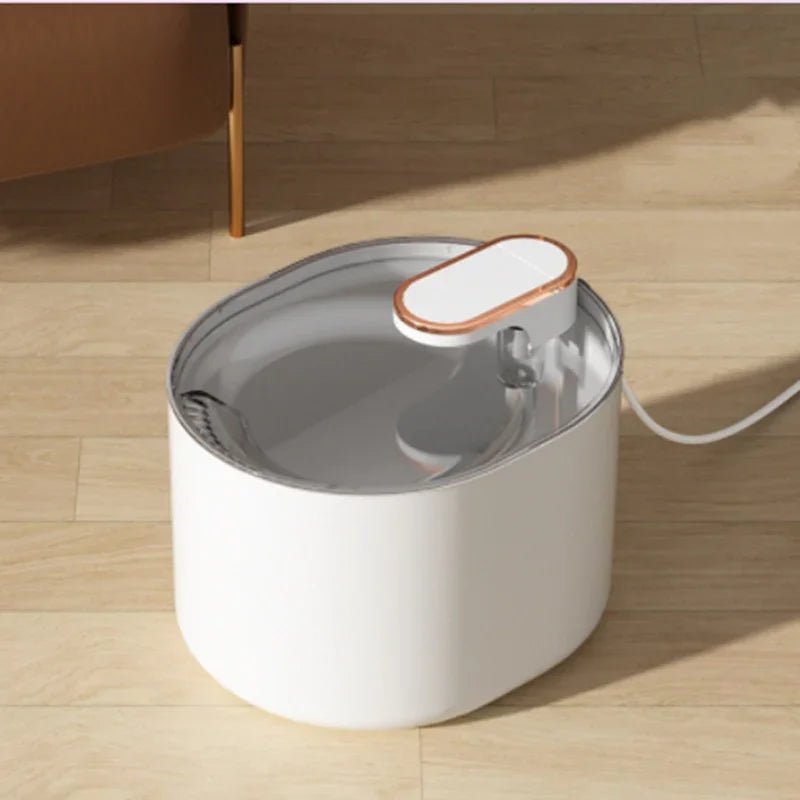 97edeea3-e226-4a7f-bb7b-0b0d16866b03 - Tech Meets Trend